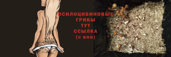 МДМА Карпинск