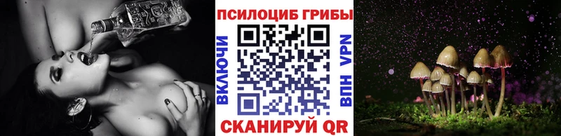 Галлюциногенные грибы прущие грибы Купить закладки Облучье